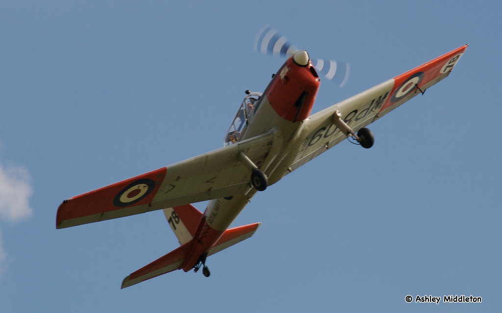 Model Airplane News - RC Airplane News | de Havilland DHC-1 Chipmunk