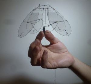 Fly like a … jellyfish?