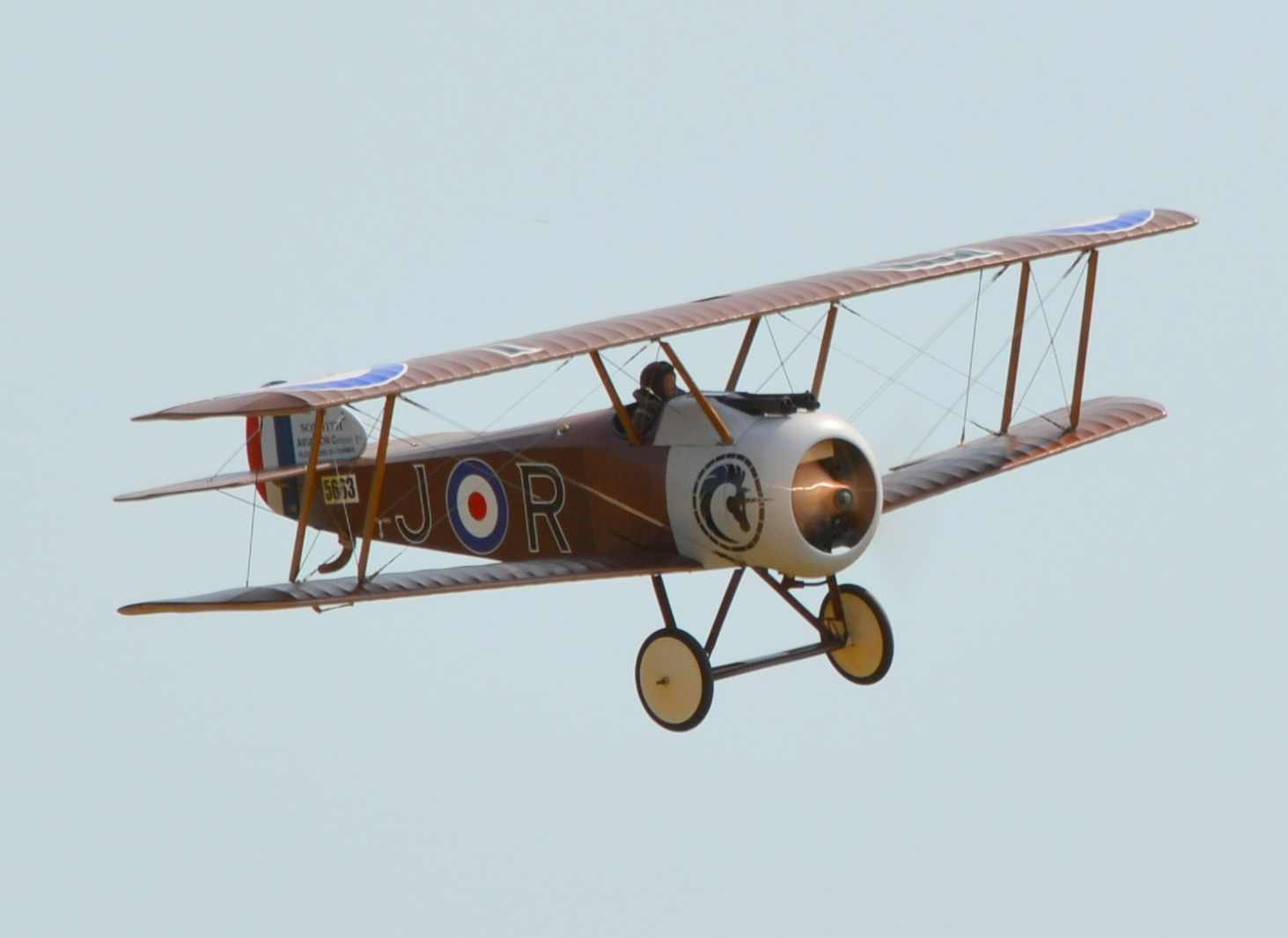 Engine Swap for the Camel