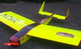 Bee Now Electrically Hyper!