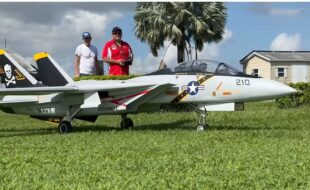 Skymaster XXL F-14 Tomcat