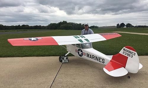 Peter Goldsmith Designs 1/3-Scale L-19