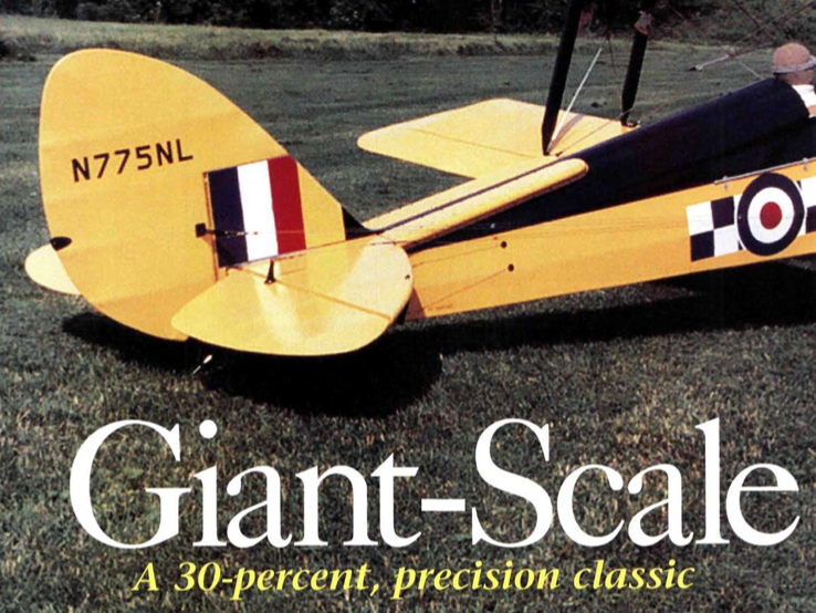 Giant Scale Tiger Moth