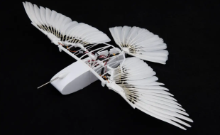 Impressive Pigeon-Bot!