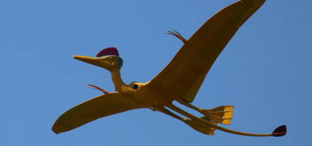 Wacky Wings at Inter-Ex!